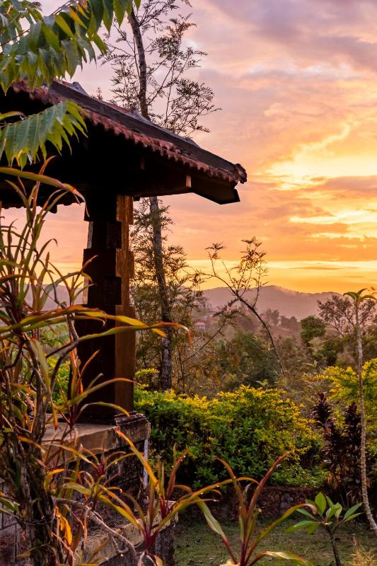Jade Hills Coorg - image 13