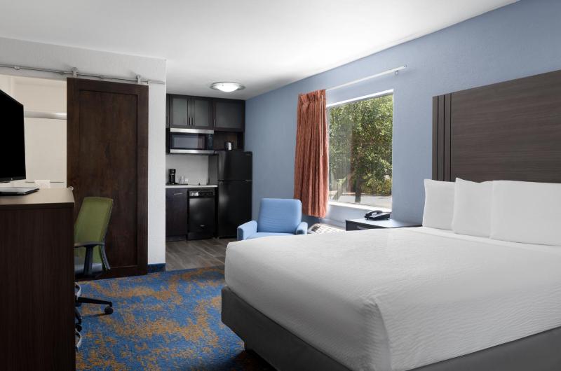 Hotel South Tampa & Suites - image 36