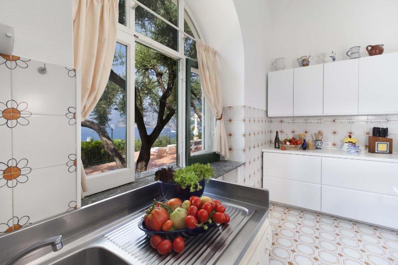Amore Rentals - Villa Lo Scoglio - image 35