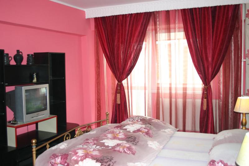 Deluxe Apartment image 2