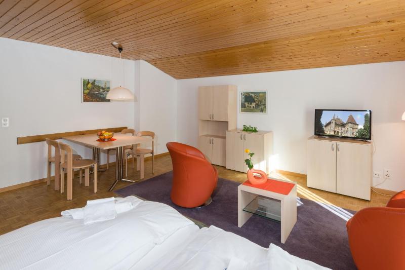 Studio Apartment with Mountain View and Balcony (22) image 3