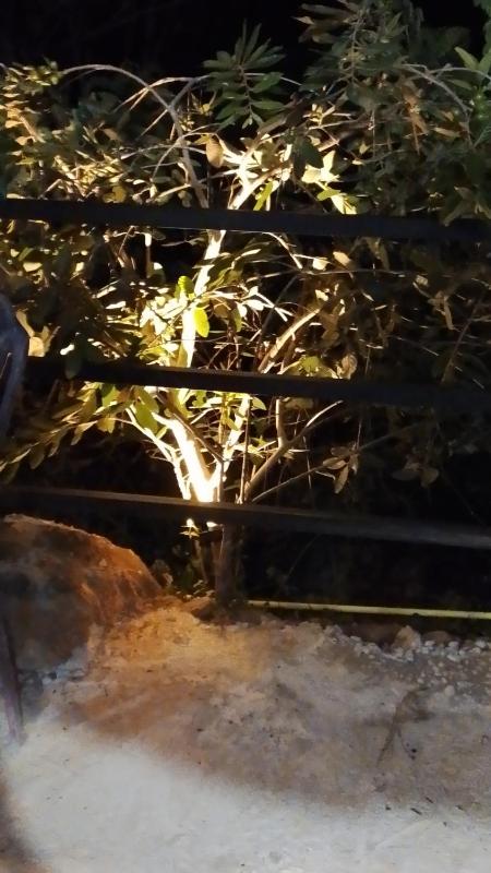 Apurvi Homestay - image 23