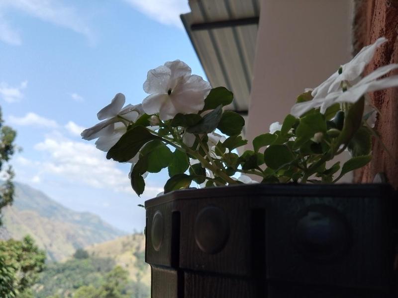 Apurvi Homestay - image 35