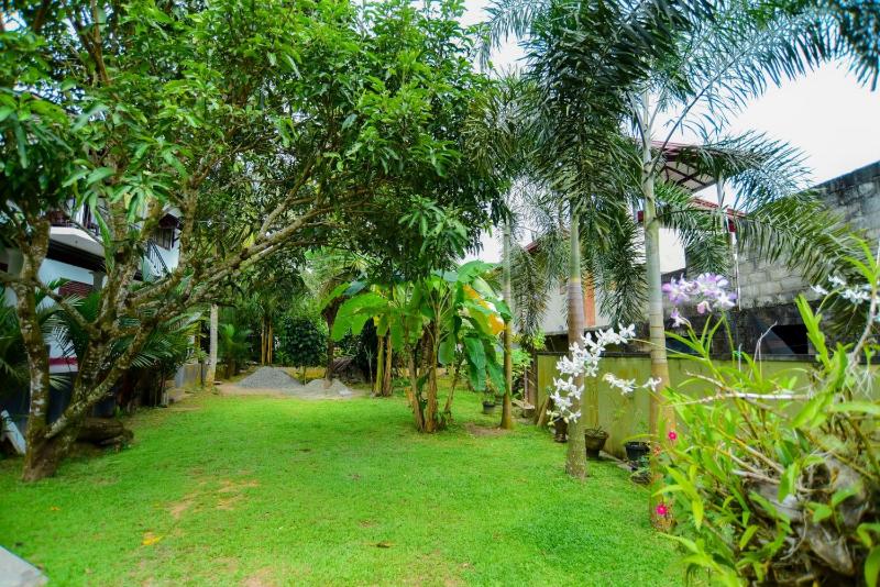 Palm Villa - image 11