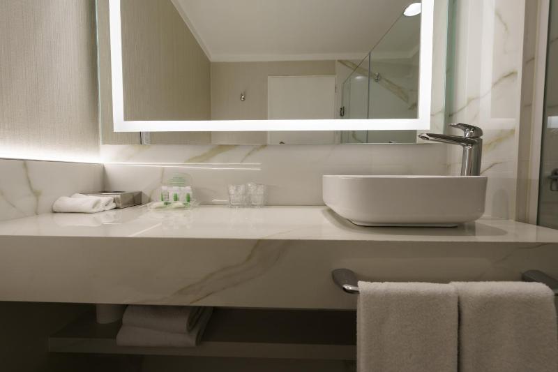 Holiday Inn Rosario By IHG - image 44