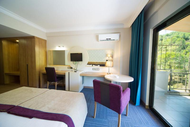 Standard Double or Twin Room image 2