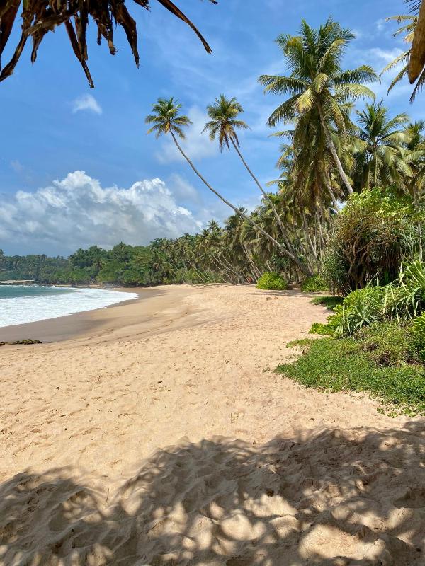Conch Villa- 3 Min walk to the beaches - image 28