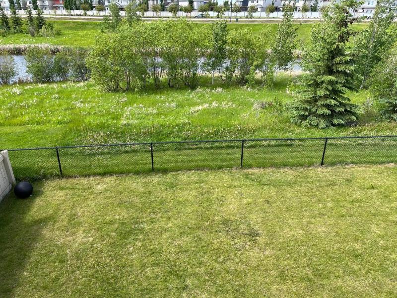 Tranquille pond facing suite - image 20