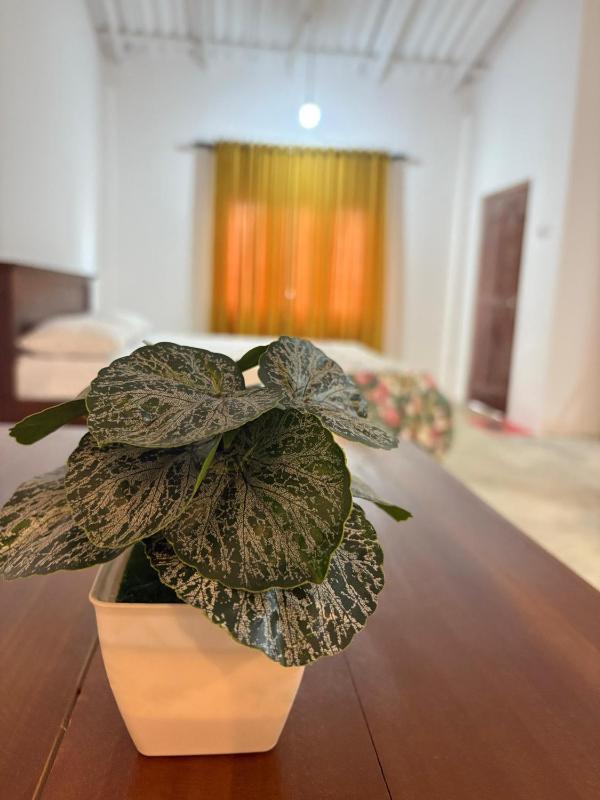 Sun Bird Villa - image 16