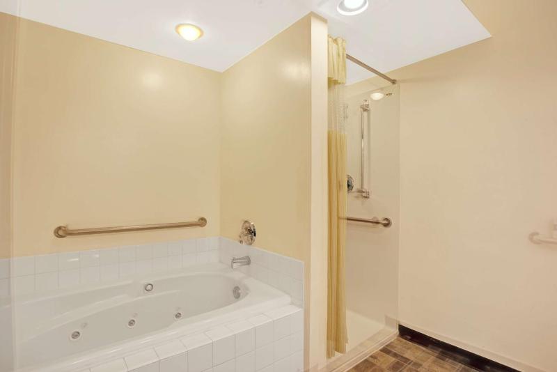 Deluxe King Suite image 2