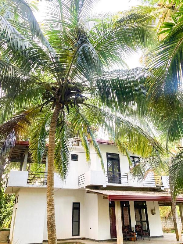 Lionara villa - image 3