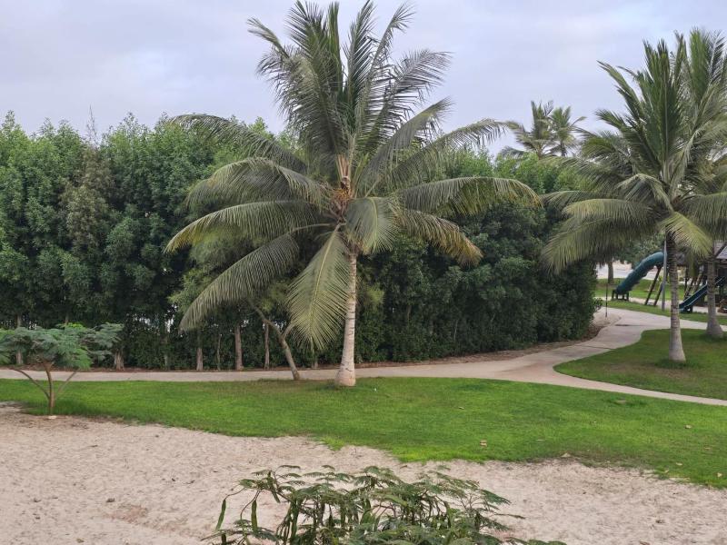 Hawana salalah - image 46