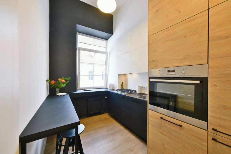 Domillion 3bdr 2bath New Apt w free parking V1020 - image 3