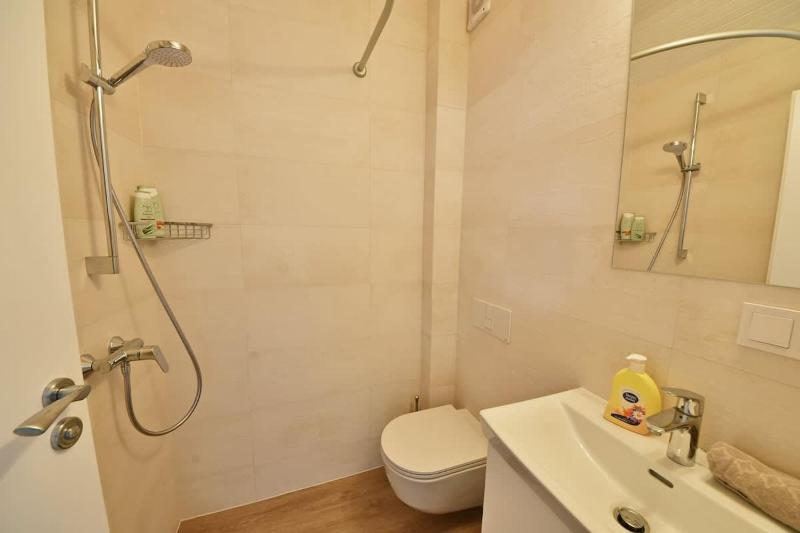 Domillion 2bdr 2bath on Vokieciu w parking V1020A - image 12