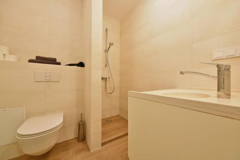 Domillion 2bdr 2bath on Vokieciu w parking V1020A - image 6