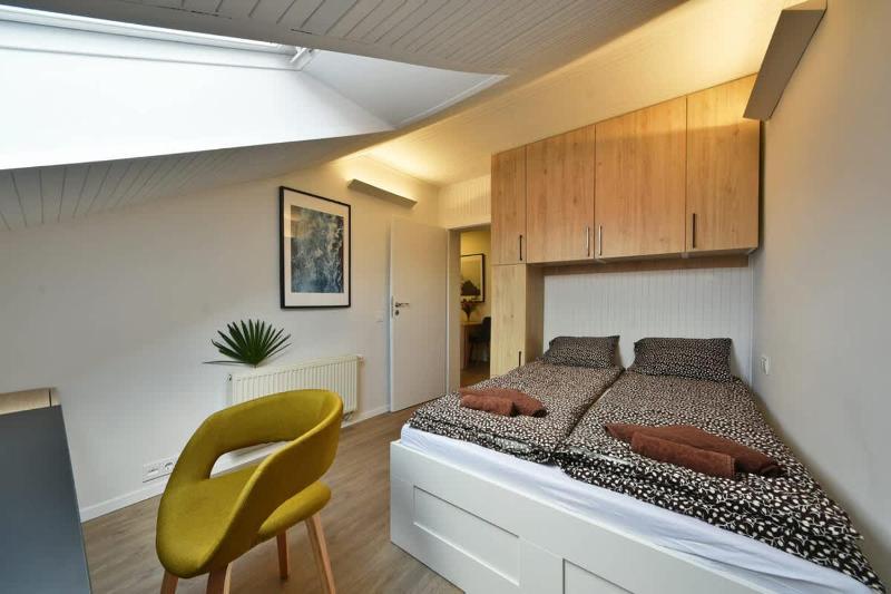 Domillion Duplex Apt 11 ppl 4baths Vokieciu V10C - image 14