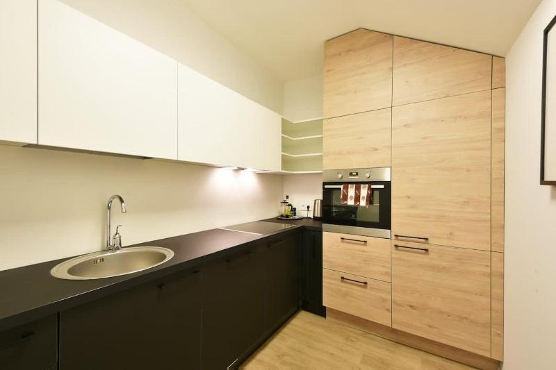 Domillion Duplex Apt 11 ppl 4baths Vokieciu V10C - image 8
