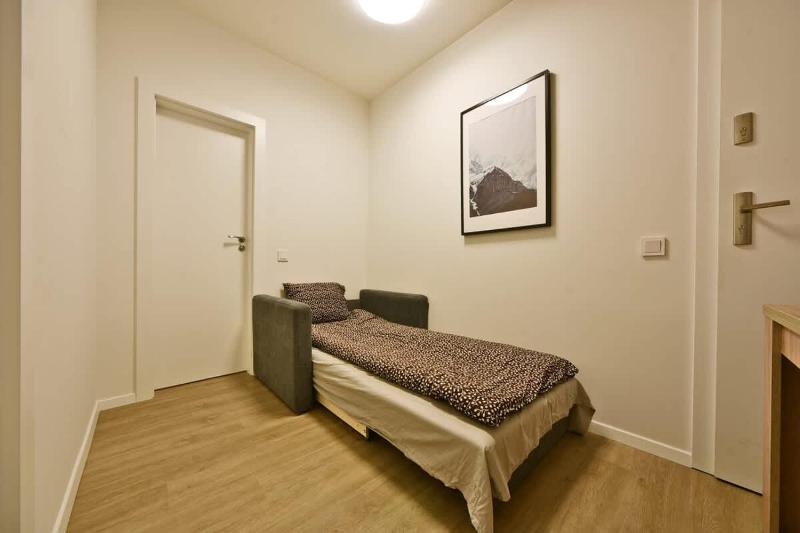 Domillion Duplex Apt 11 ppl 4baths Vokieciu V10C - image 7