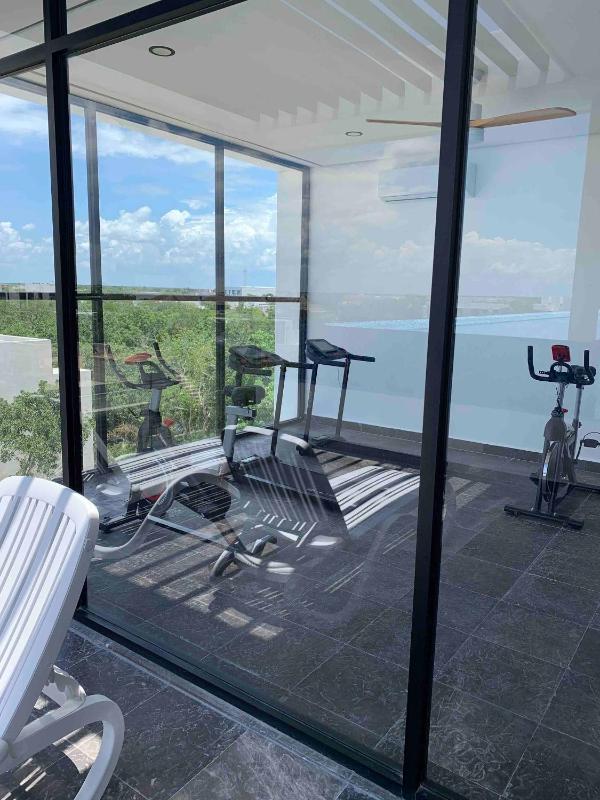 Perfect studio light and nature in Aldea Zama - image 8