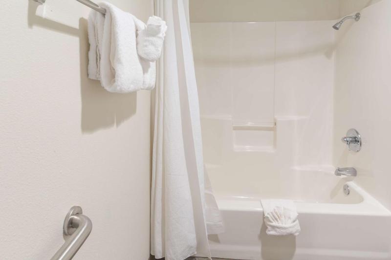 Deluxe King Suite image 3