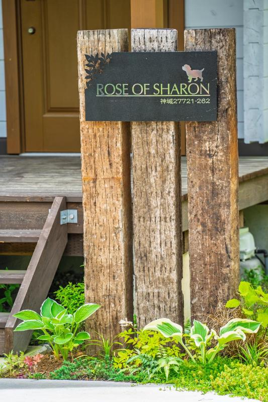 Rose of Sharon - image 23