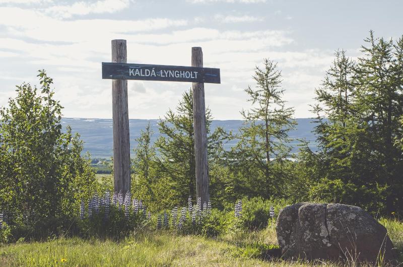 One-Bedroom House image 2