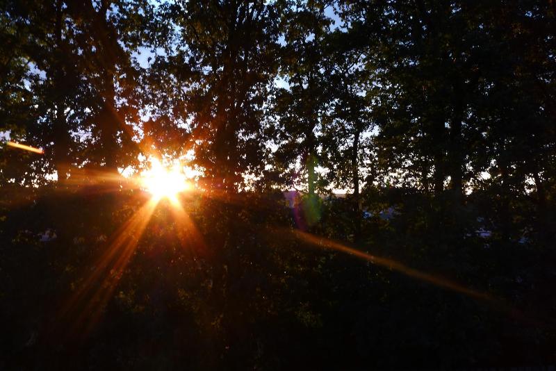 Deluxe Double Room image 4