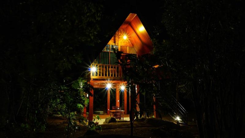 Jungle Crown Cabin - image 16