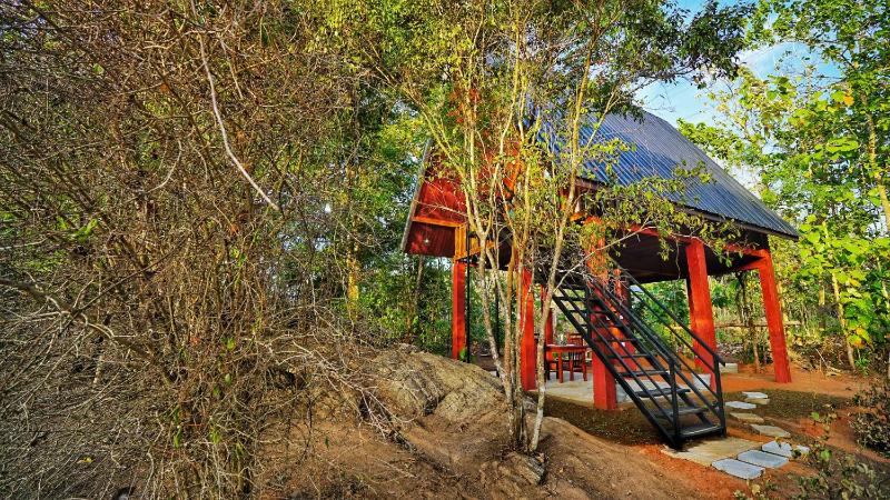 Jungle Crown Cabin - image 7