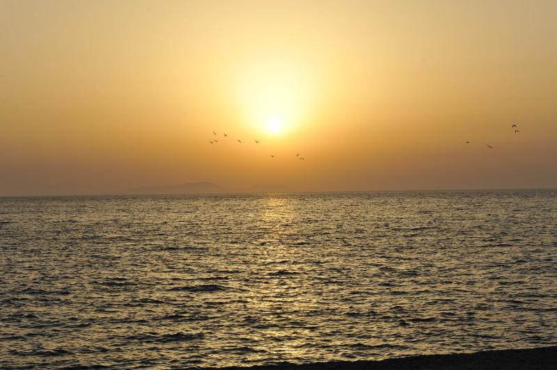 Heleni Beach Hotel - image 16