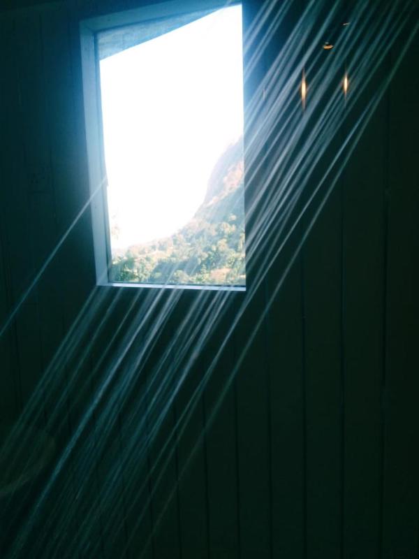 Dream Nest - image 28