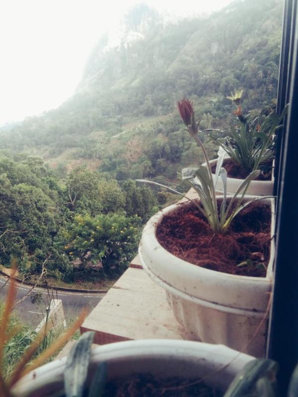 Dream Nest - image 27