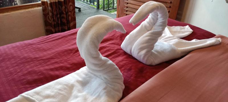 Dream Nest - image 32