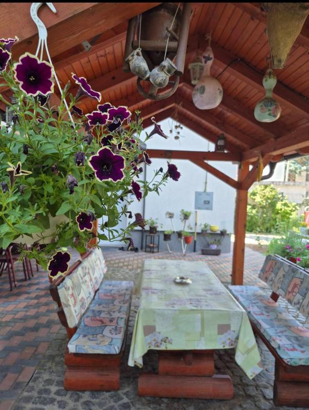 Apartments Villa Sena 4 - image 16