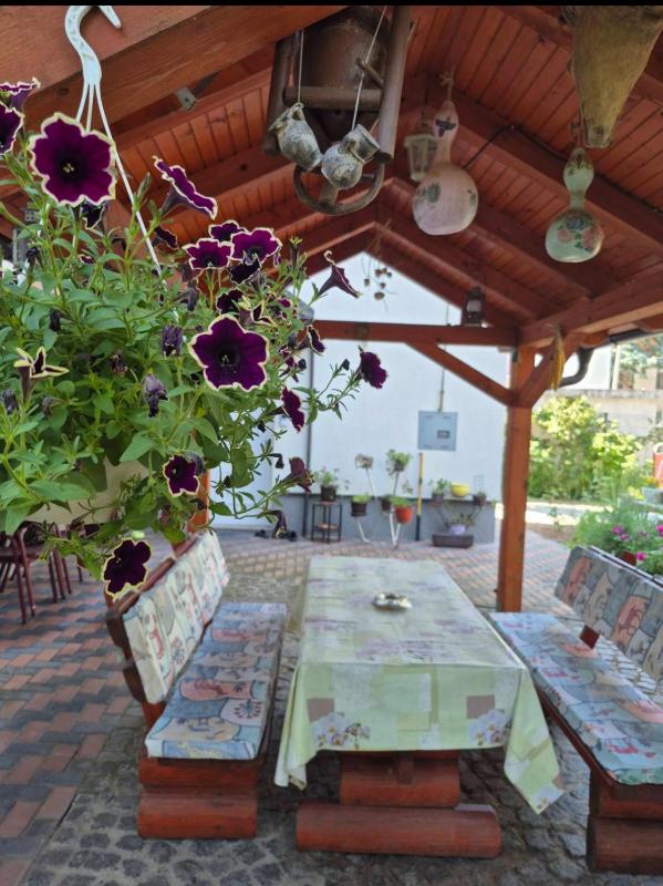 Apartments Villa Sena - image 7