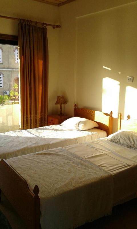 Double or Twin Room with City View image 3