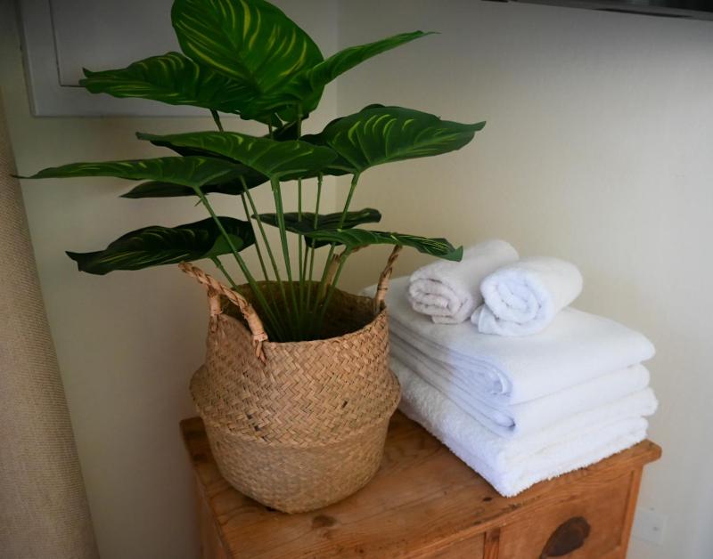 Bon Bini Appartement - image 17