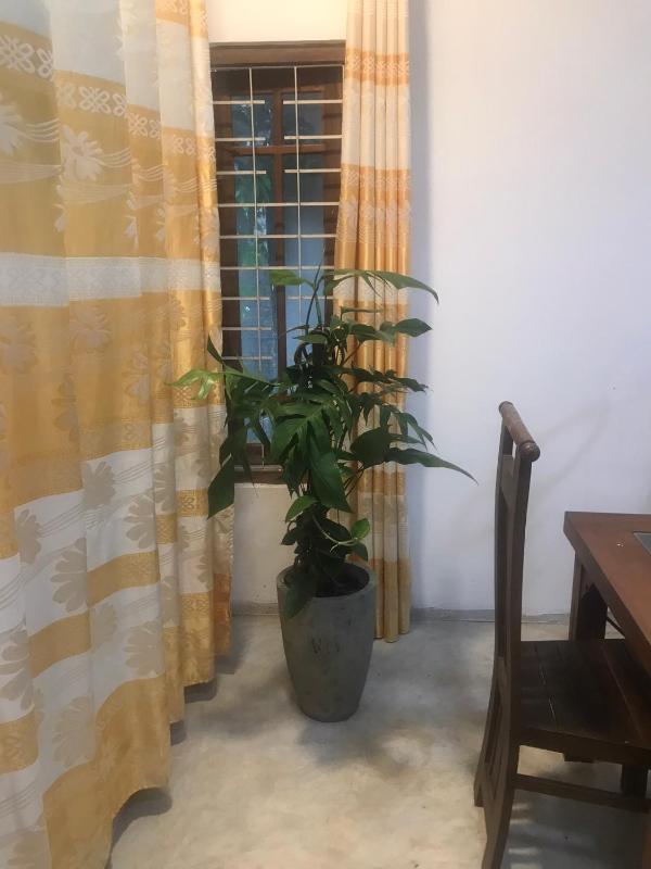 Summer Story Villa - image 2