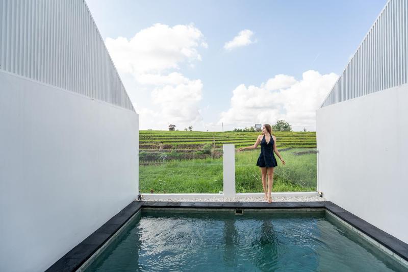 Sunrise Bliss 14 Ricefield View Private Pool Villa By Bali Bliss Properties - image 31