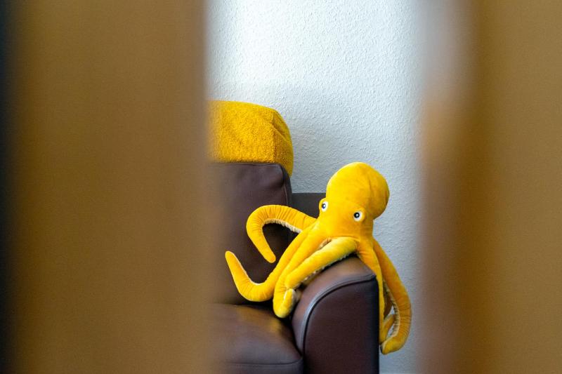 Oktopus - image 3