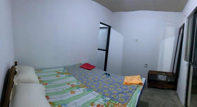 Roxy - image 8