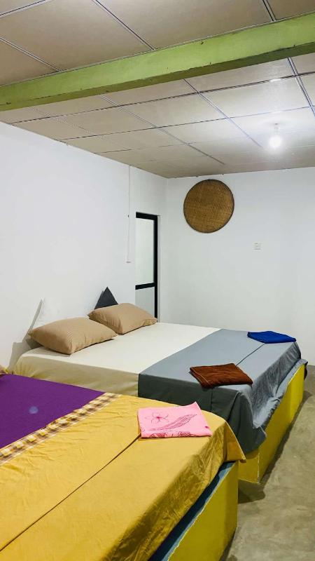 Roxy - image 15