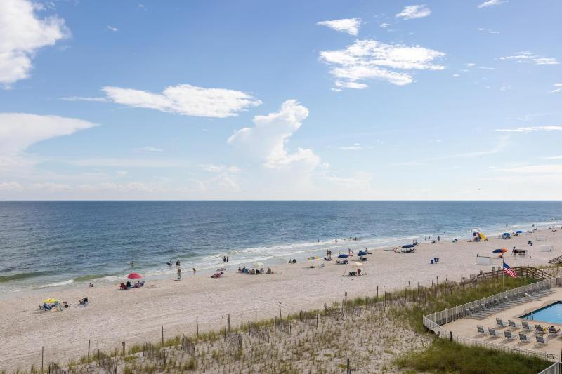 Tropical Winds 301 - image 22