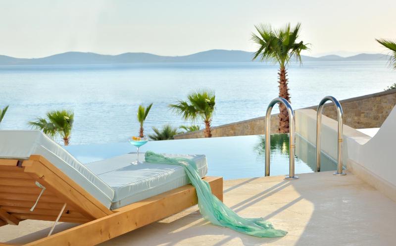 Anax Resort and Spa - image 15