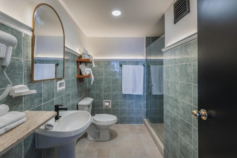 Gran Hotel Panamericana Merida - image 11