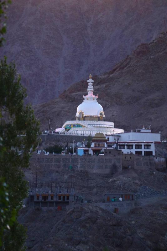 Otsal Villa - image 4