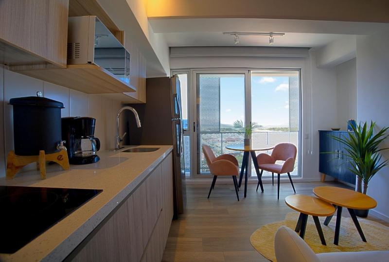 Panoramic Airport Views from 11th Floor Apartment - image 8