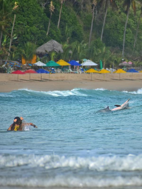 Surfcamp Arara - image 21