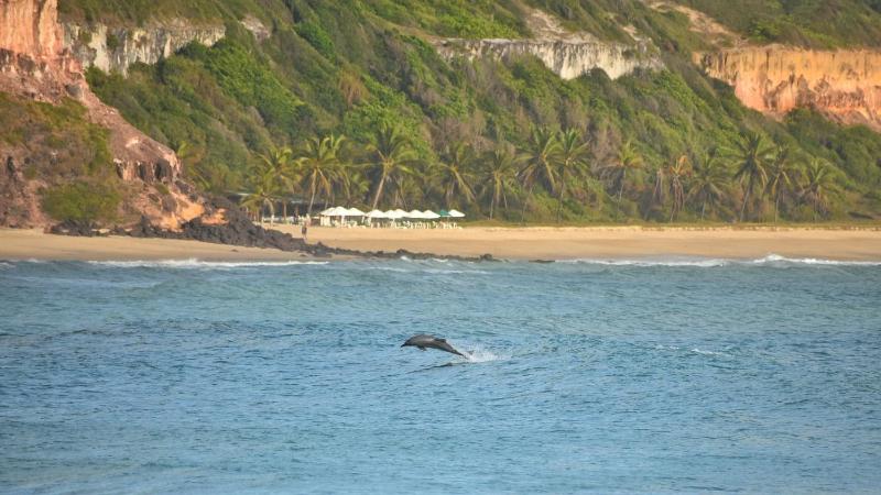 Surfcamp Arara - image 26