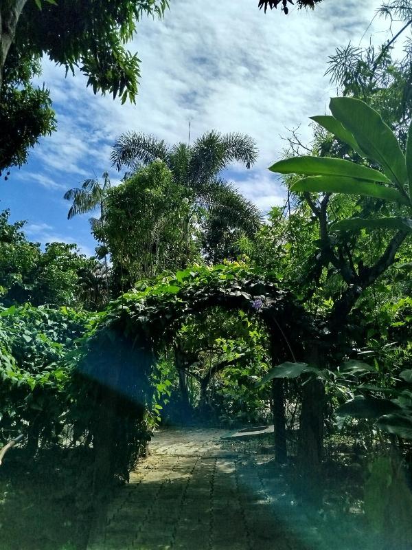 Pousada da Paz - image 16